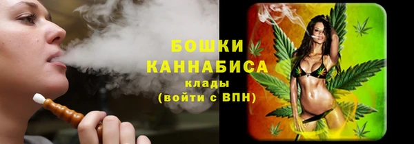 PSILOCYBIN Кущёвская