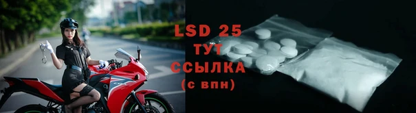 PSILOCYBIN Кущёвская
