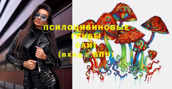 PSILOCYBIN Кущёвская