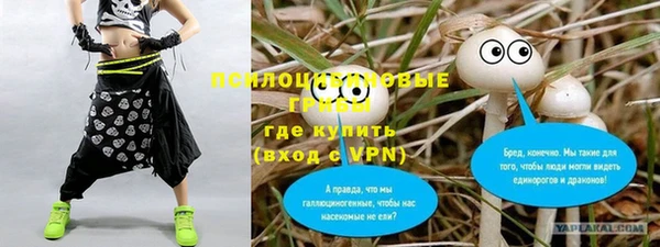 PSILOCYBIN Кущёвская
