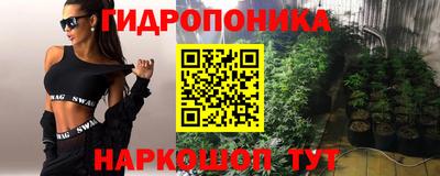 МДПВ Можга