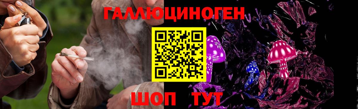 Галлюциногенные грибы Psilocybe  Вход с VPN  Галлюциногенные грибы ЛСД  где найти   Арзамас 